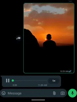 WhatsApp msg templat