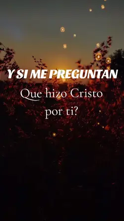 Gracias Señor 🙏✨♥️