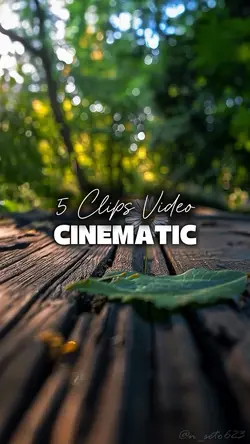 5 Videos Cinematic 