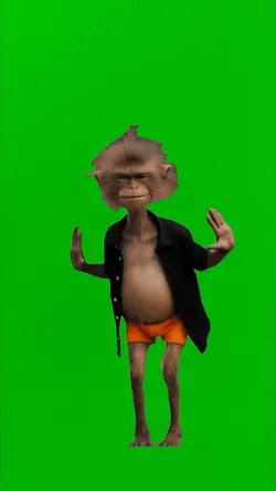 UNCLE MONKEY DANCING