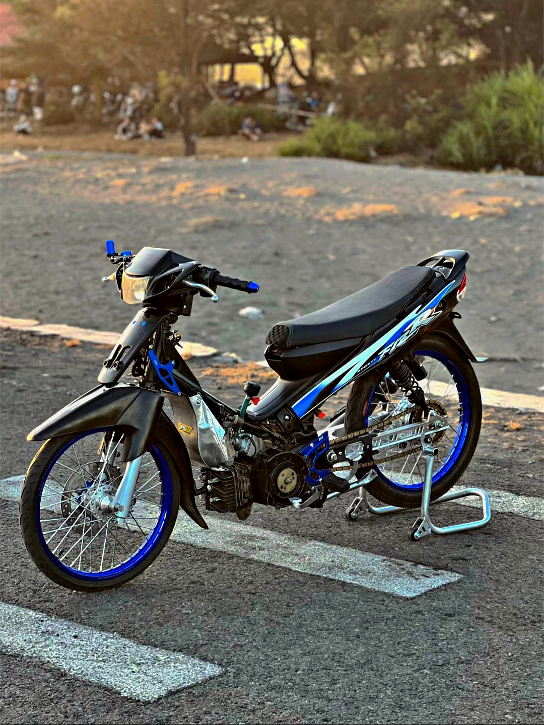 Cover Picture