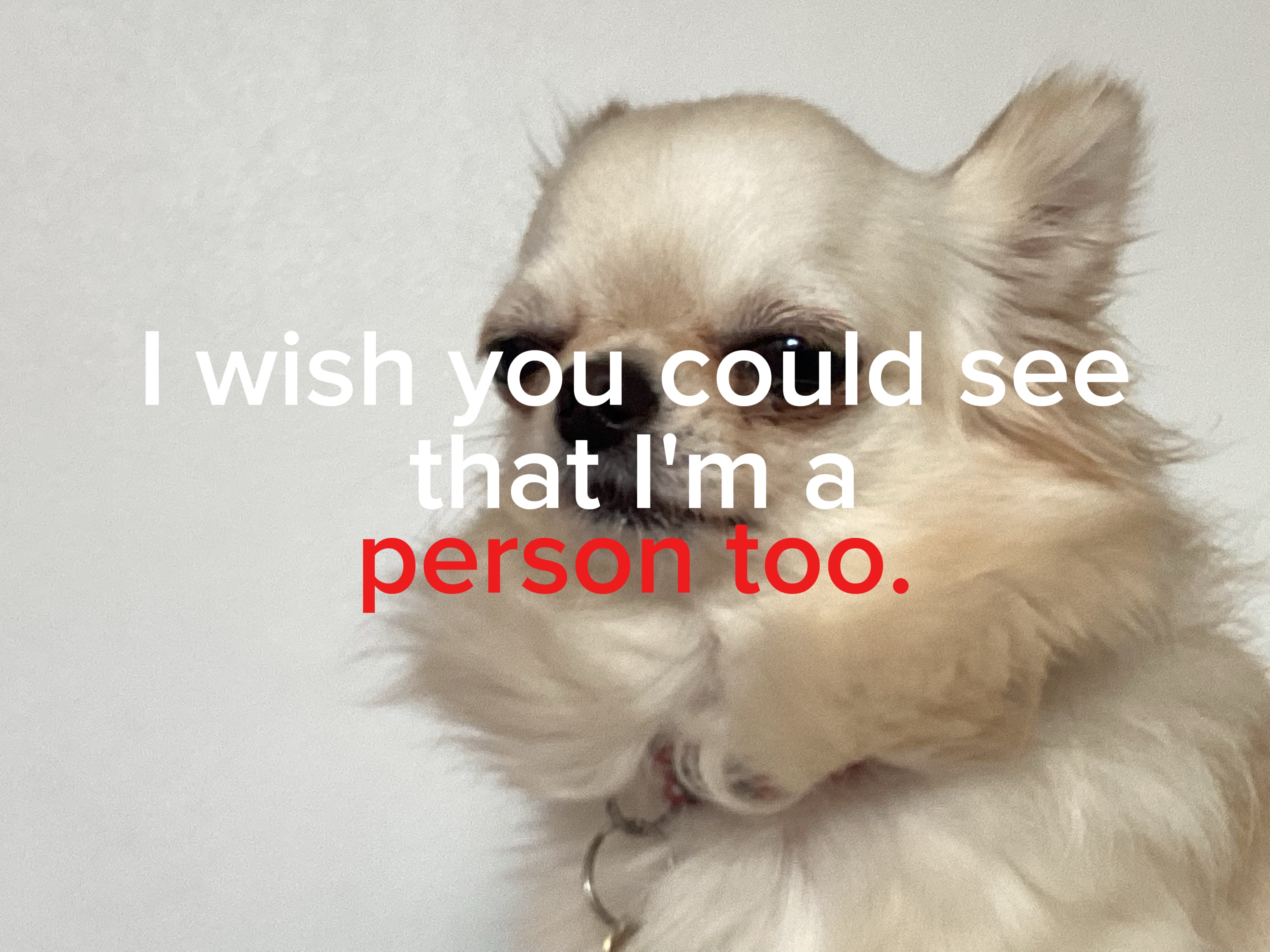 I'm A Person Too...