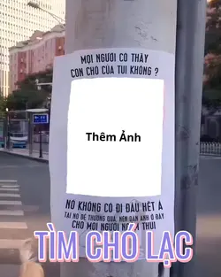 Troll Tìm Chó lạc 