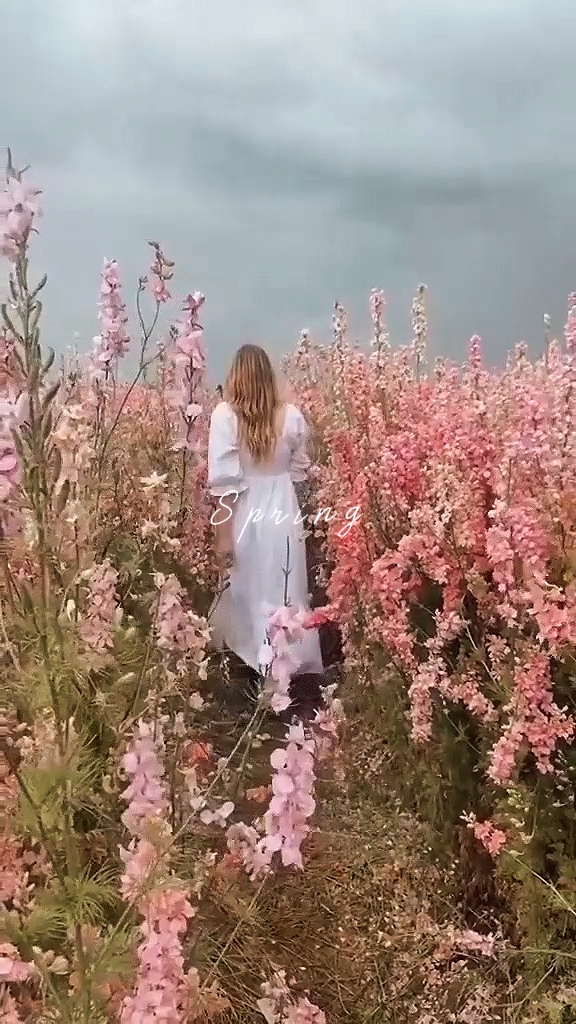 Hola primavera