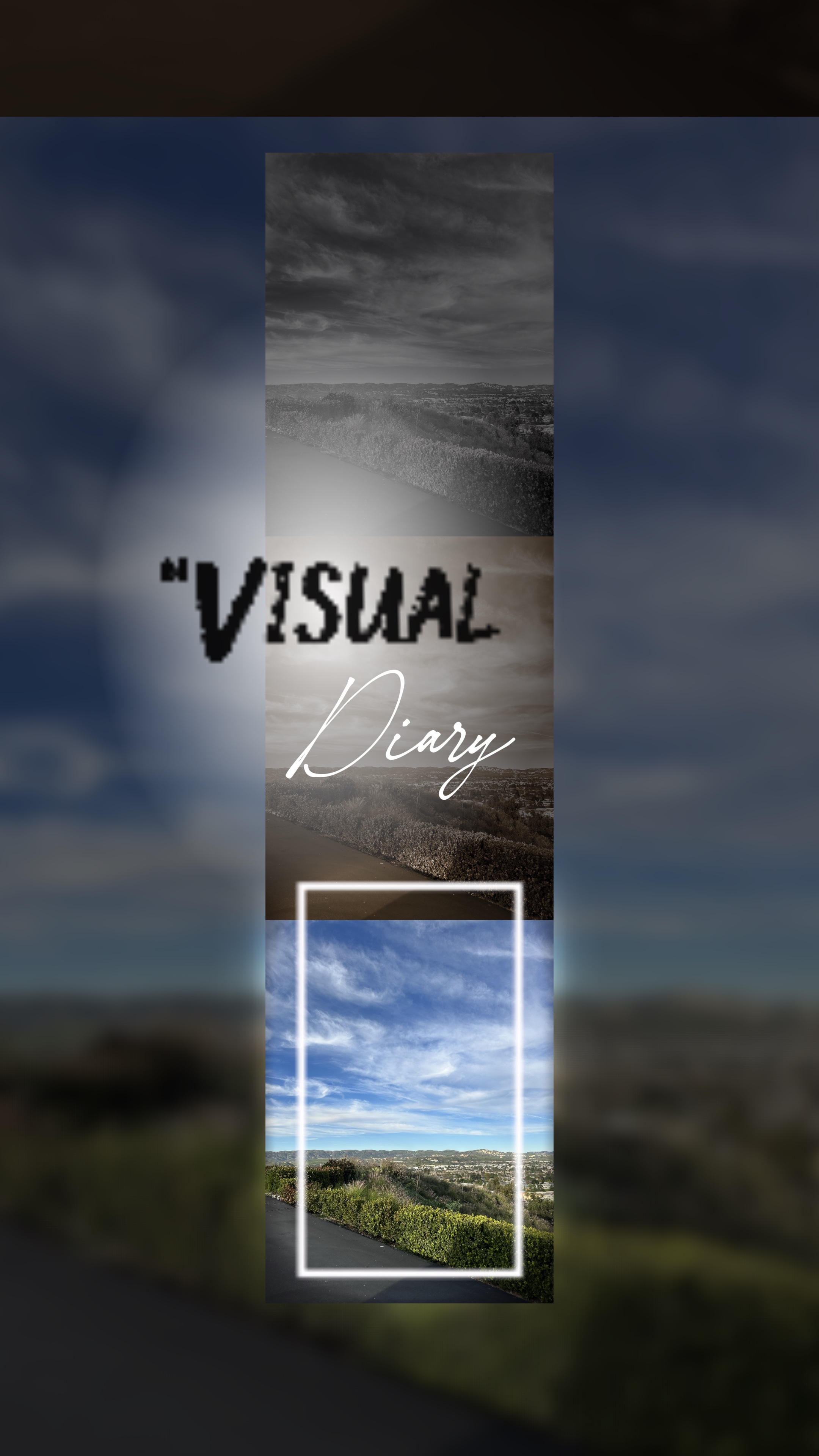 Cover Picture
