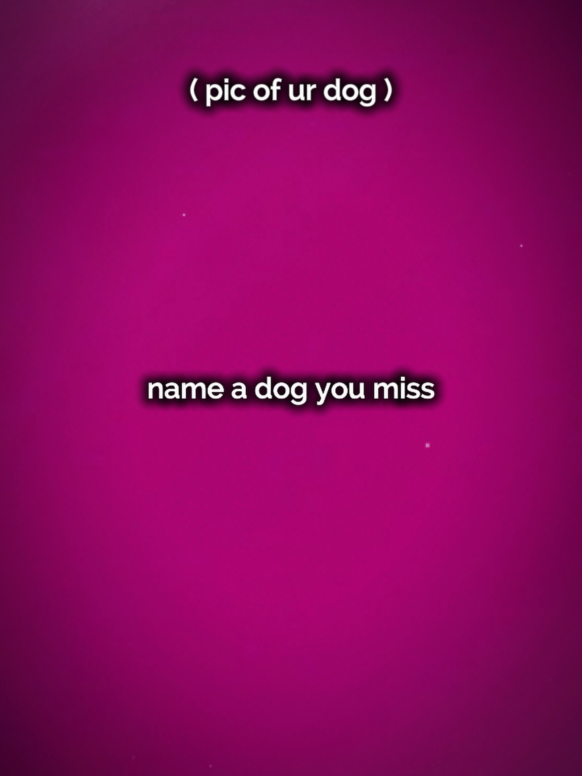 Name a dog you miss