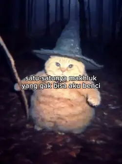 kata kata kucing