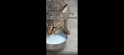 Boy milk