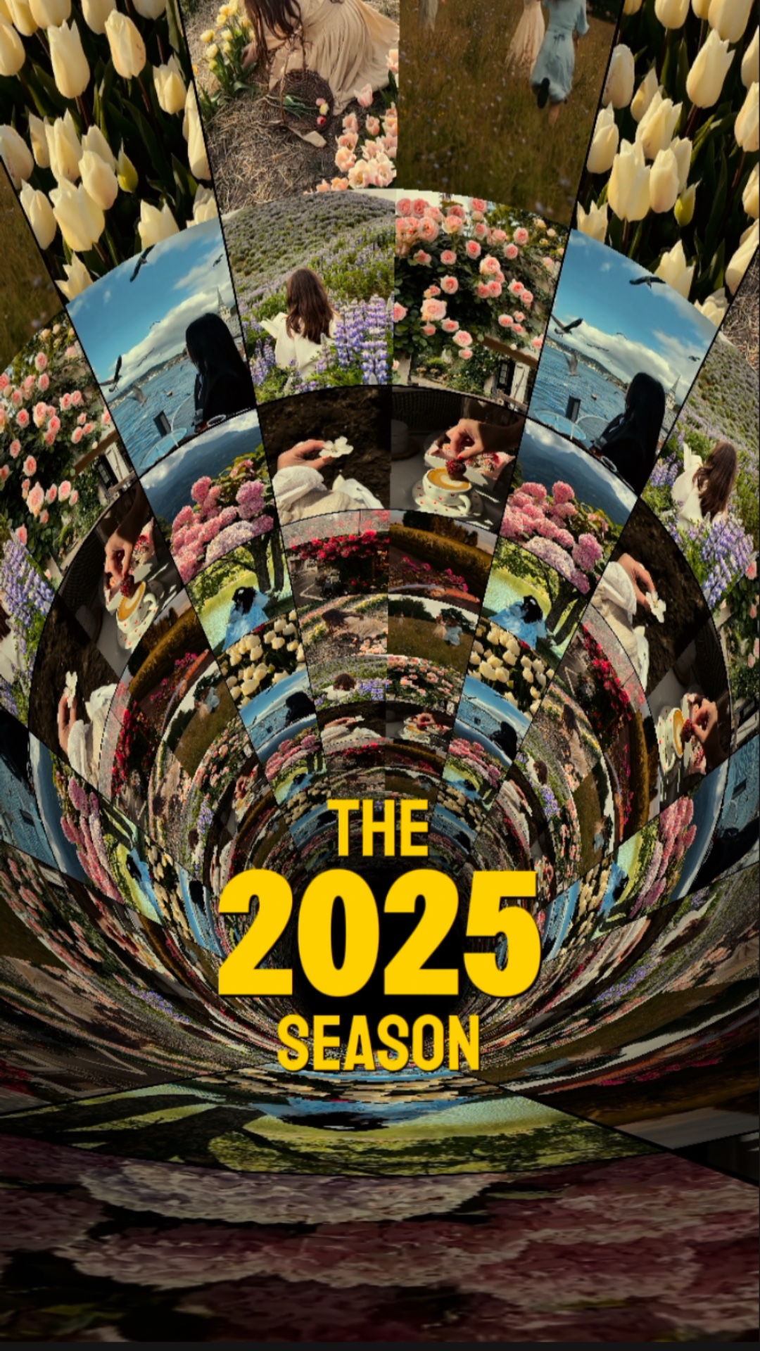 2025 시즌 종료