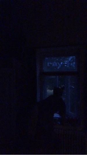 dog in the dark 🌌💫