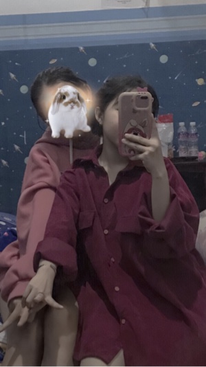 Vòng lập + màu bụi