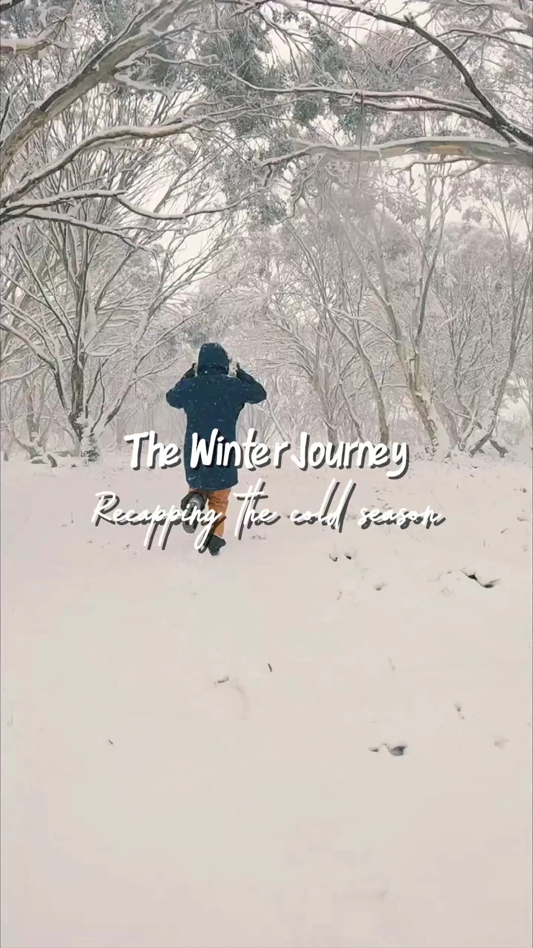 the winter Journey 