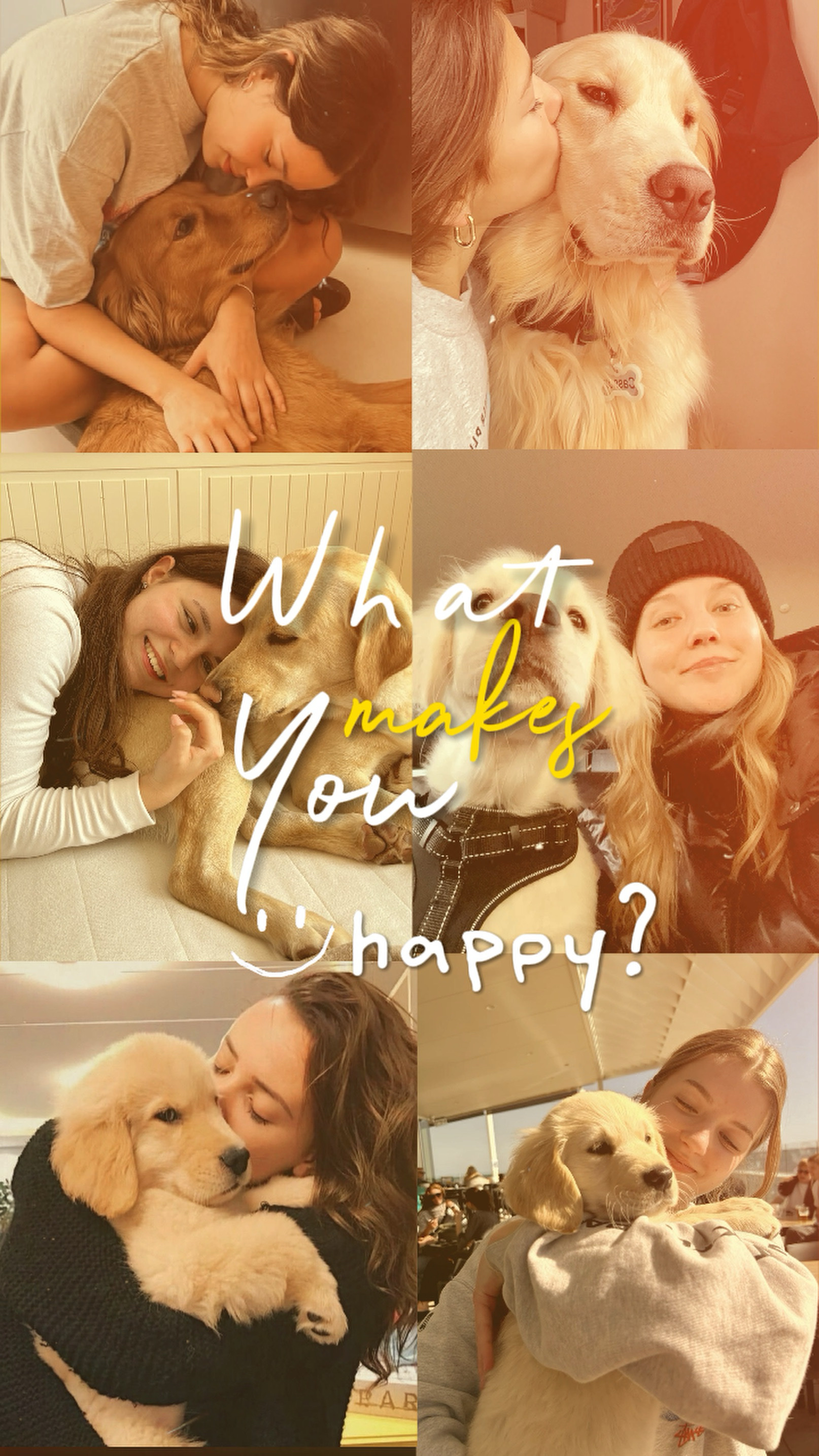 Mon amour de chien