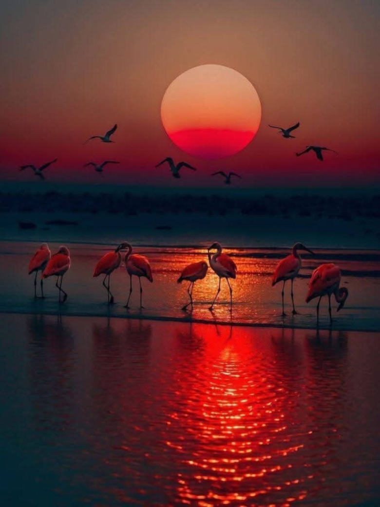Atardeceres 