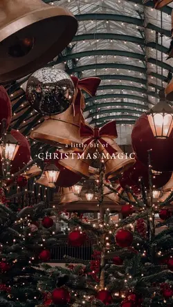 Christmas magic ✨♥️