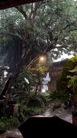 Rainy Day