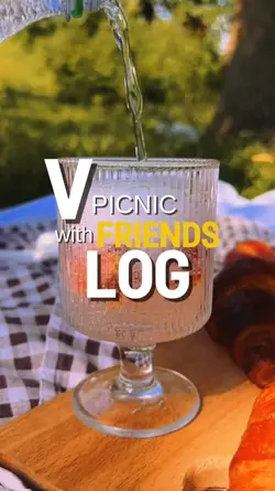 Picnic Vlog