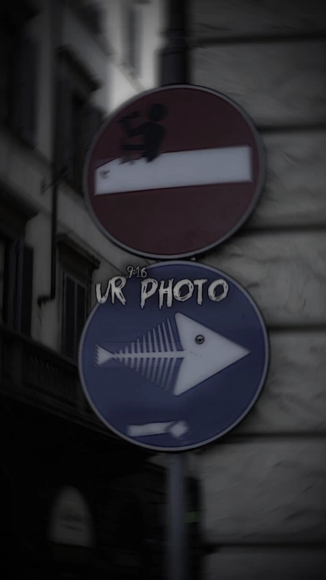 3 ảnh