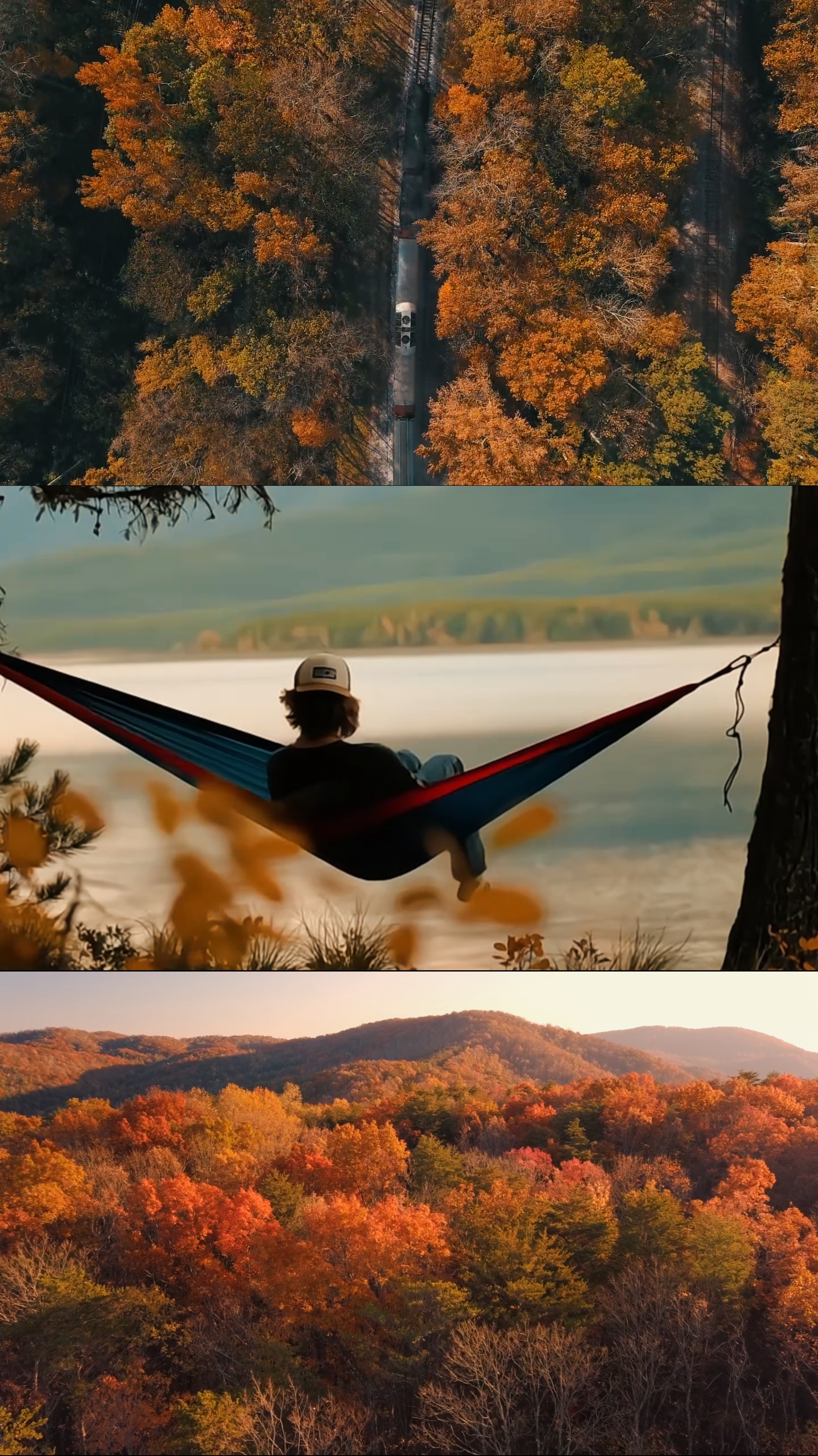 Autumn vibes
