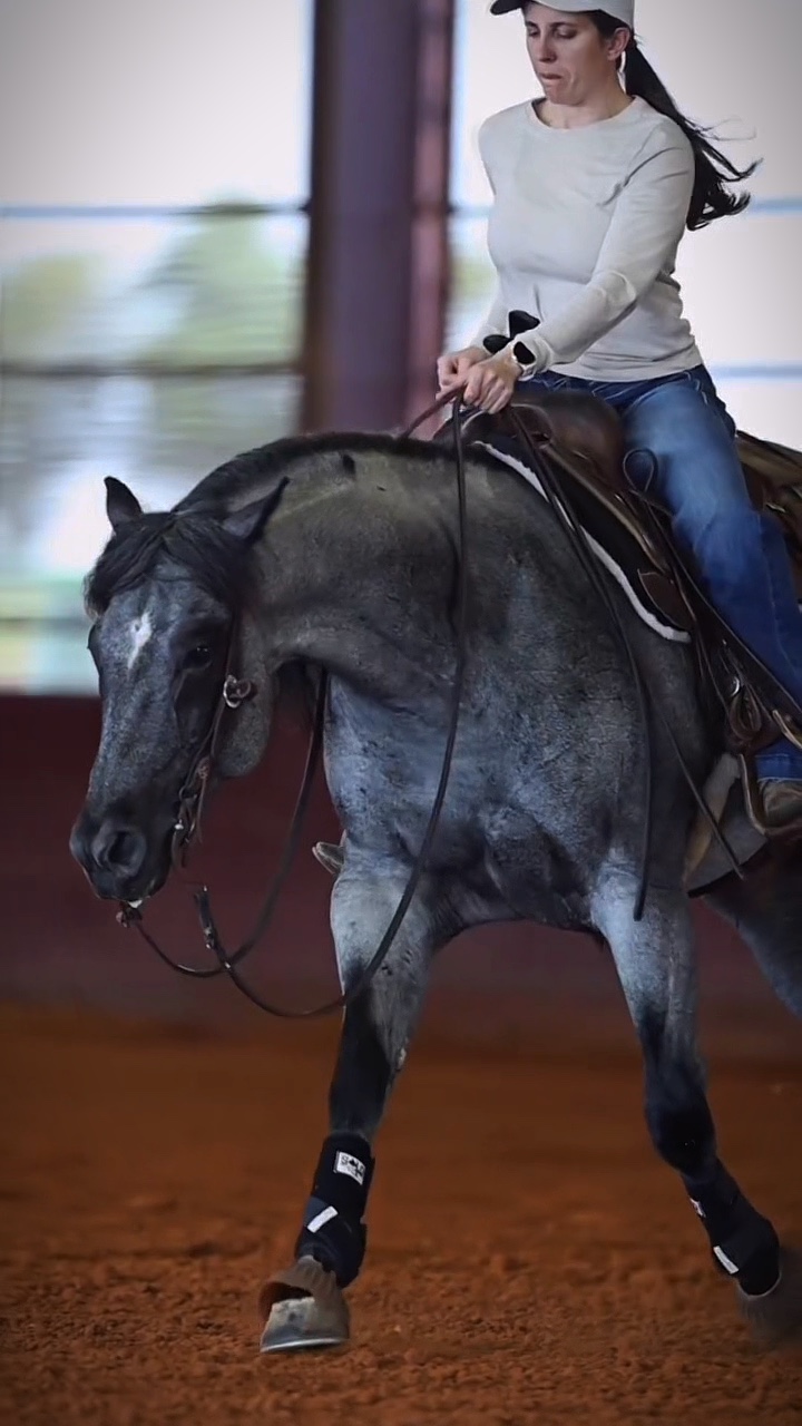 Caballo sagrado.