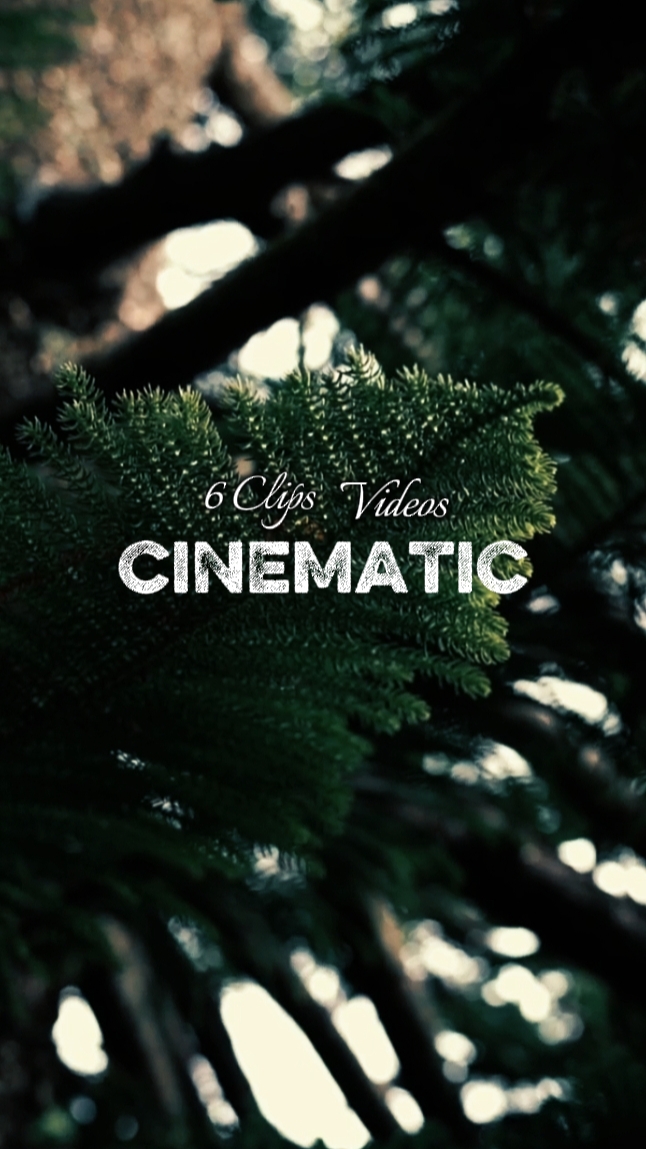 6Clips cinematic