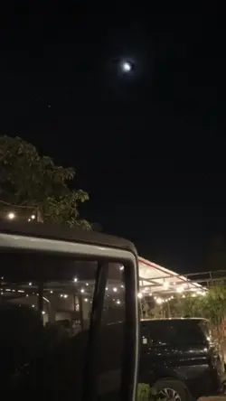 kasih semu