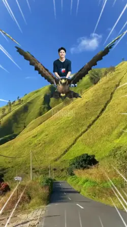 Naik Burung 