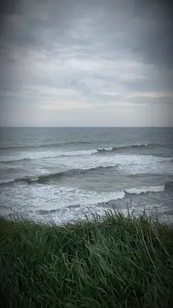 The Sea. 