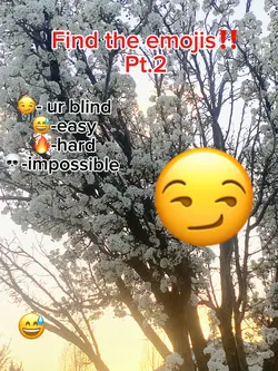 Find the emojis pt.2