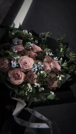 Slow nhiều video