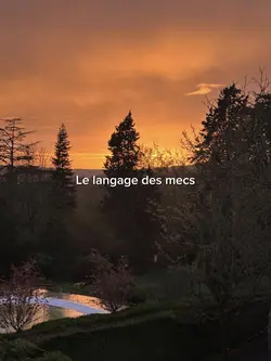 Langage mecs
