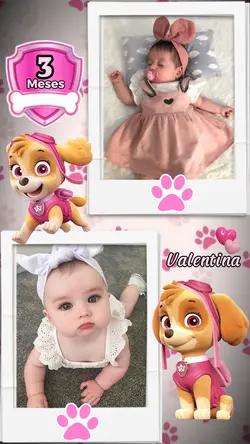 skye patrulha canina