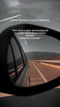 Cemal süreyya