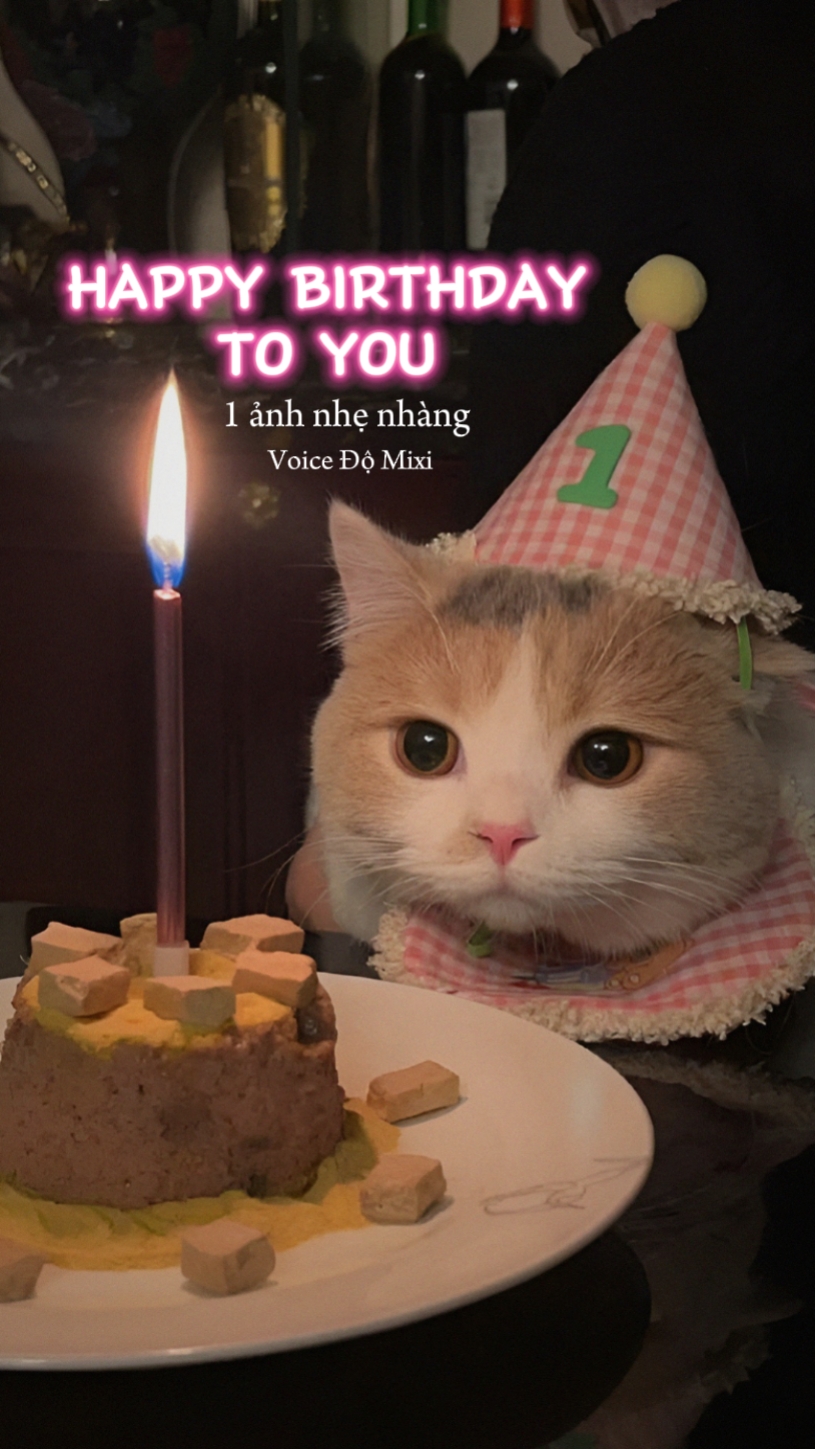 Feliz aniversário para você