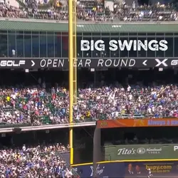 Big Swings