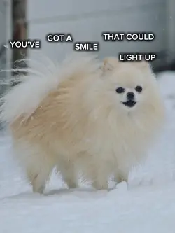 got a smile 