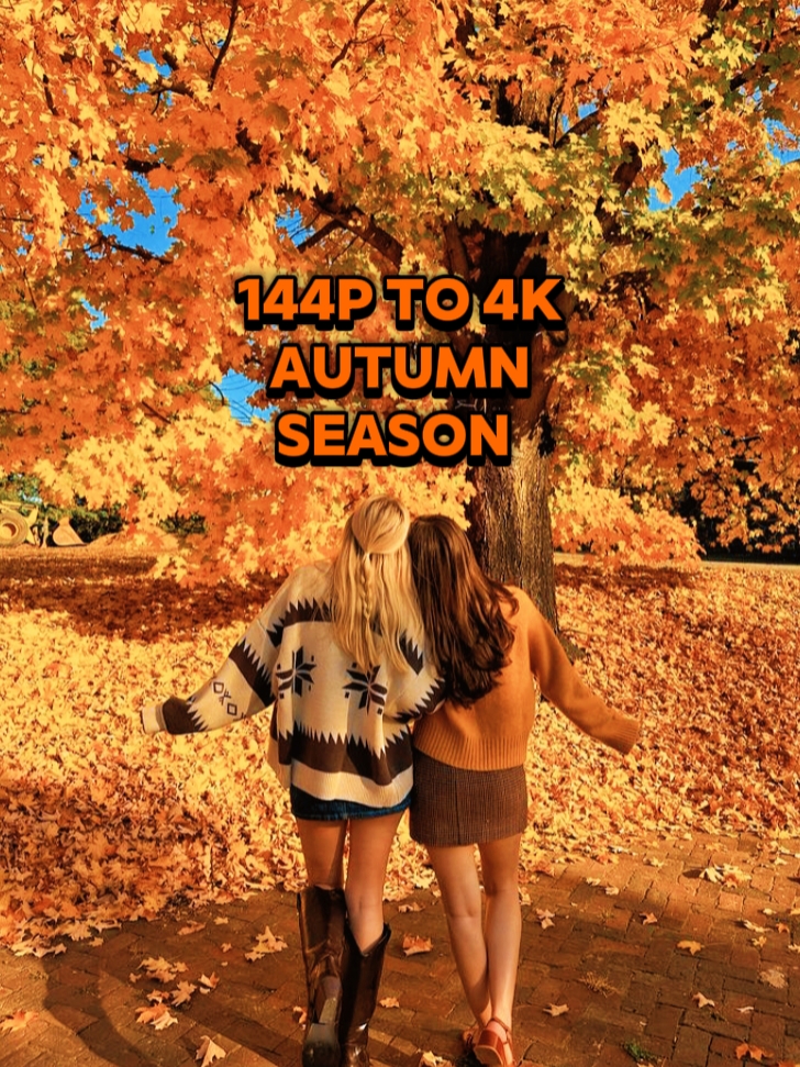 144p vs 4k Autumn 