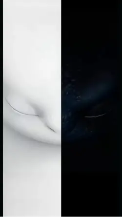 黑白眼动态壁纸