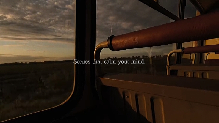 Acalme sua mente
