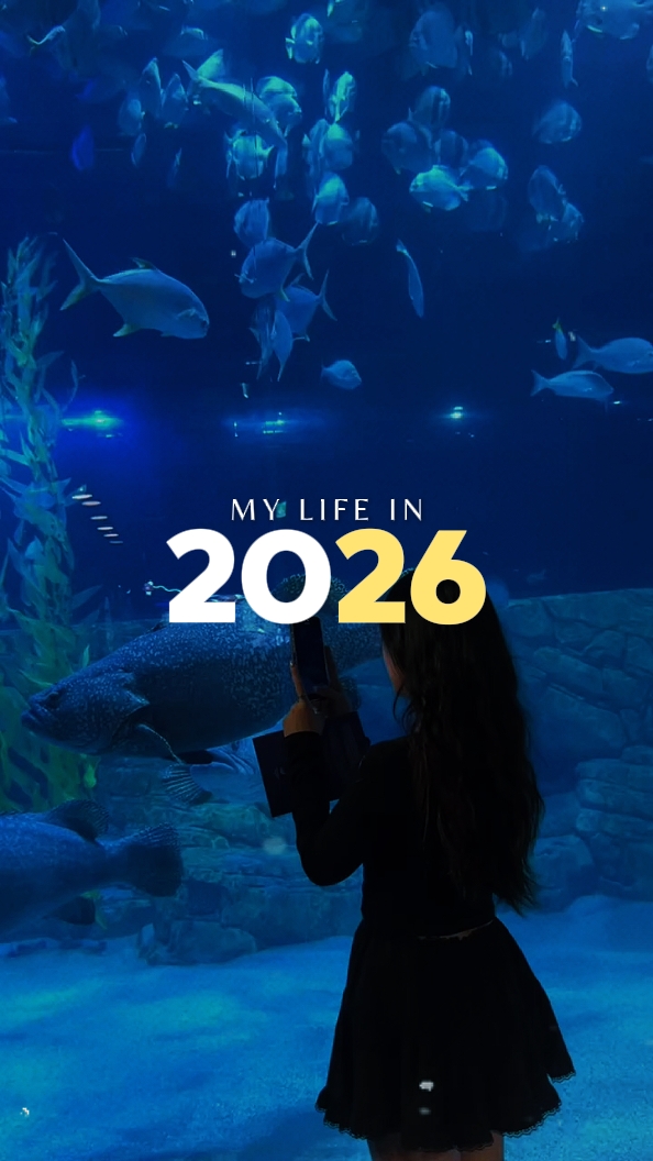 Mi vida en 2026