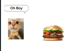 Funky Burger
