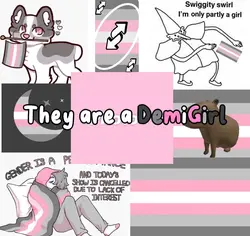 DemiGirl