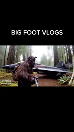 BIG FOOT VLOGS