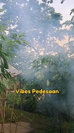 Vibes pedesaan