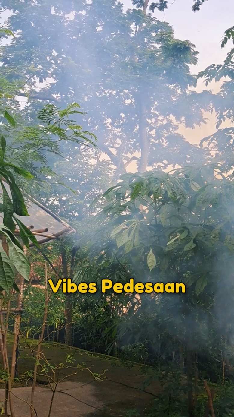 Vibrações pedesaan