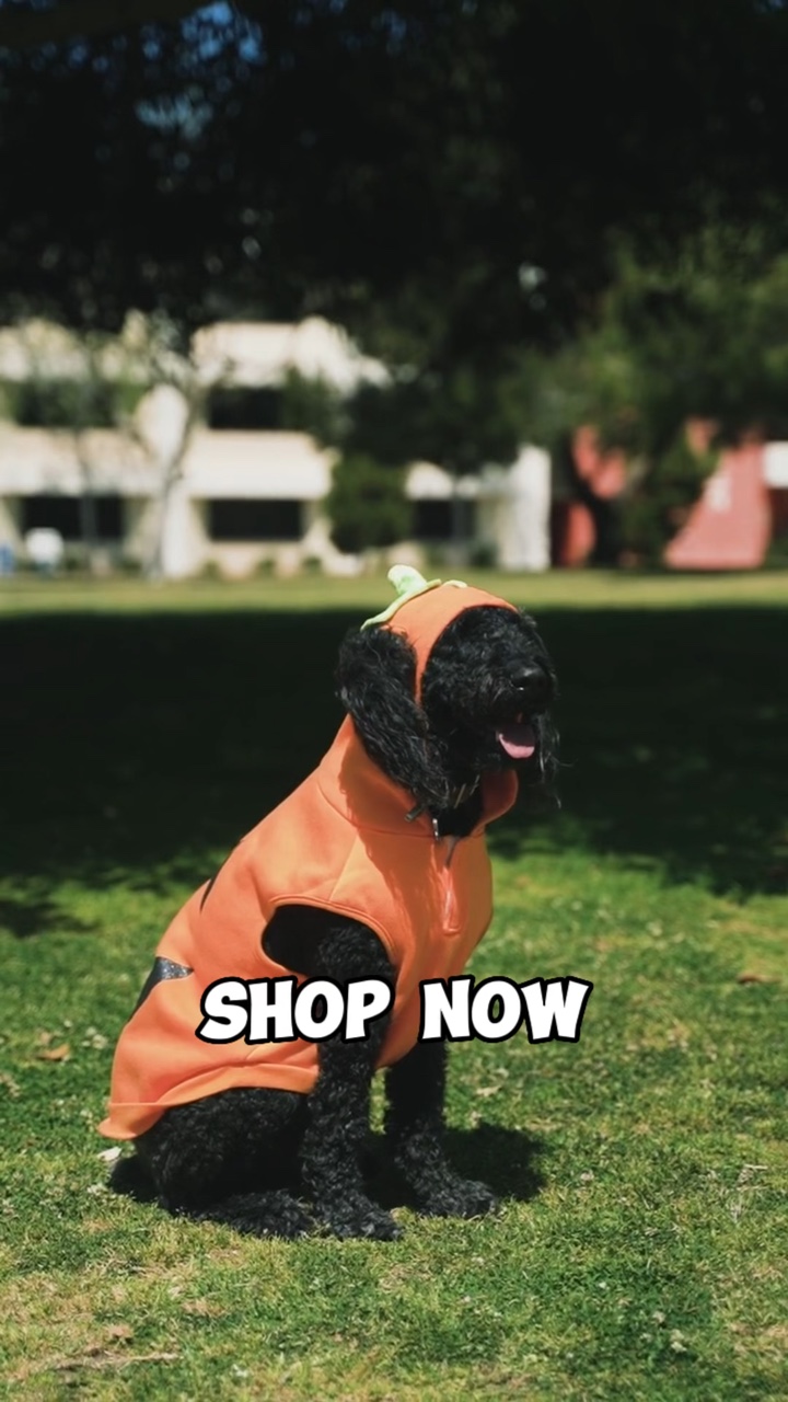 Pet Clothing Display UI TikTok Style