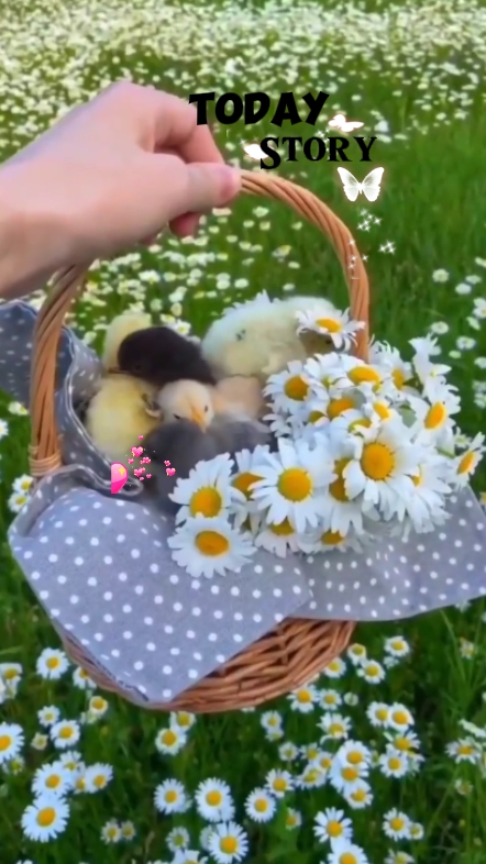 Histoire d'aujourd'hui