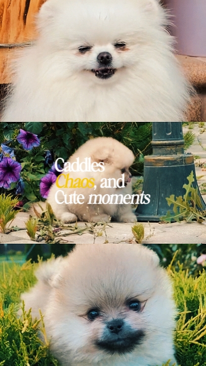 Süße Momente