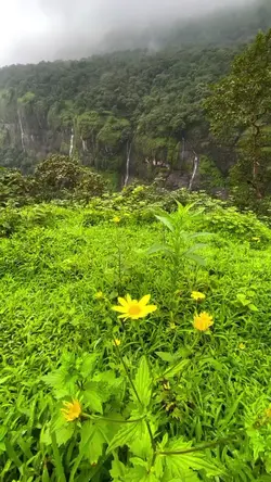 Natureza...