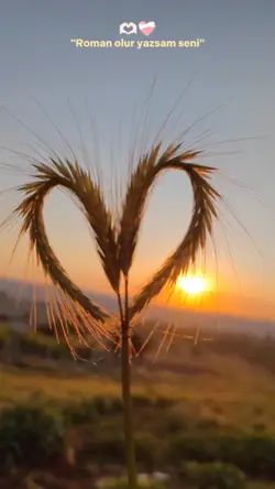 Roman Olur Yazsam